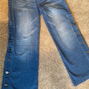 Peace Love World High Rise Blue Jeans